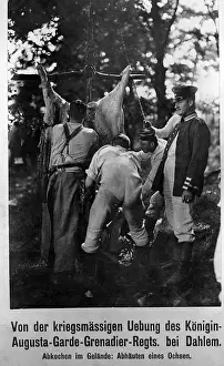 Warlike: Military exercise, 1911