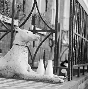 Doorsteps: Milk Bottles