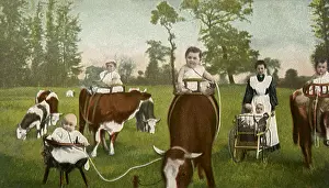 Straws: Milk Directly from Cow