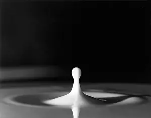 Drip: Milk Drop