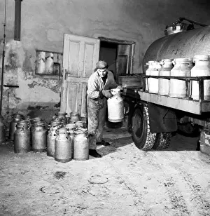 Nosek: Milk - fresh - calcium - loading - bottles - 25