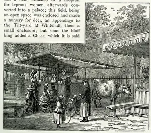 Stall: Milk refreshment stall, St James's Park, London