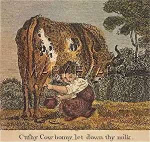 Milks: MILKING 1818