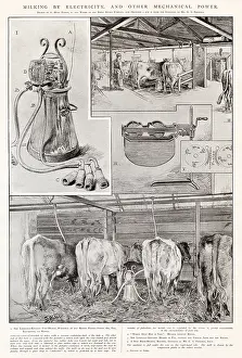Padfield: Milking by electricity