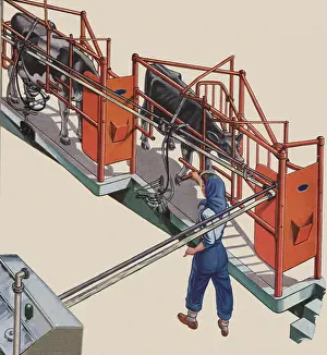Milking: Milking Machine