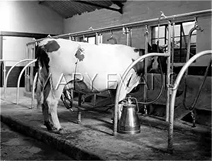 Attachments: MILKING MACHINE