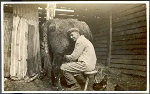 Milks: MILKING, PHOTO