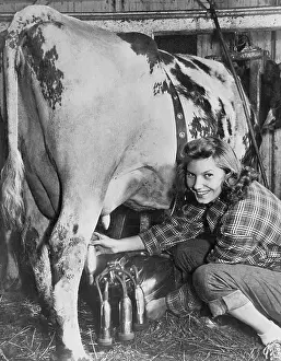 Squat: Milking time on the farm