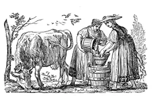 Milkmaids: MILKMAIDS AND COW