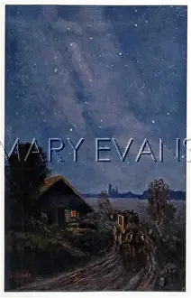 Kranz: MILKY WAY (KRANZ)