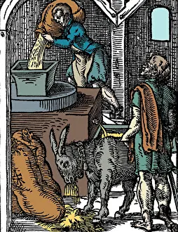 Sack: Miller, 1568