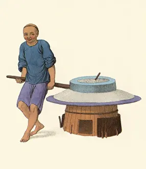 Backward: Miller Grinding Grain