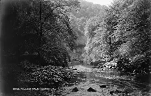 Derbyshire: Millers Dale