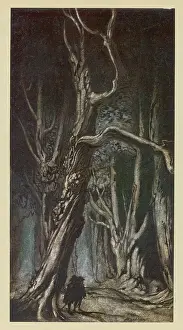 Miltons: MILTON'S COMUS / RACKHAM