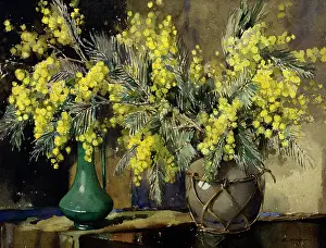 Mimosa: Mimosa ' in two vases