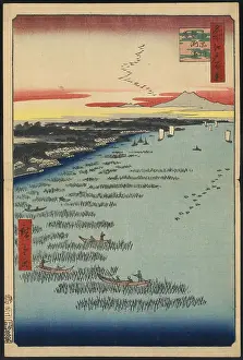 Shinagawa: Minami-Shinagawa and Samezu coast