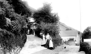 Minehead: Minehead, Greenaleigh Farm 1903