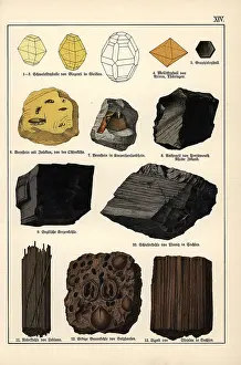 Gotthilf: Mineral varieties including sulphur, mellite, amber and coal