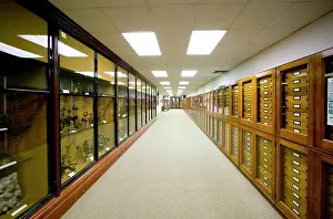 Drawer: Mineralogy corridor