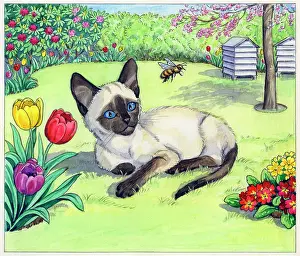 Hives: Ming Meets the Farm Kittens