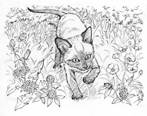 Buttercups: Ming Meets the Farm Kittens