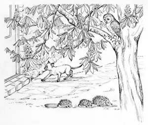 Hedgehog: Ming Meets the Farm Kittens