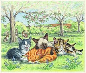 Ming Meets the Farm Kittens