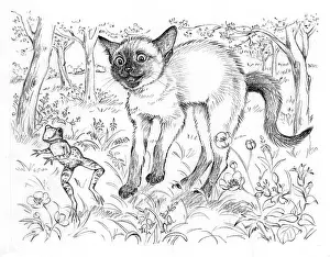Startled: Ming Meets the Farm Kittens