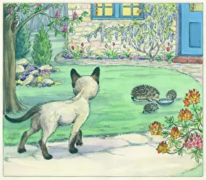 Hedgehog: Ming Meets the Farm Kittens