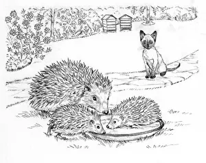 Hedgehog: Ming Meets the Farm Kittens