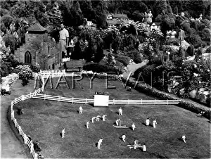 Conifers: MINIATURE CRICKET GAME