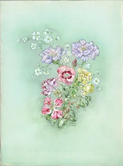 Cloke: Miniature pinks, Scabious, Gypsophila etc