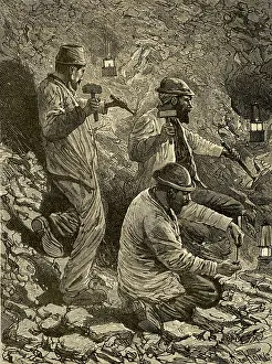 The Tann Collection: Mining Coal