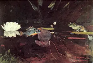 Swims: The Mink Pond, by Winslow Homer