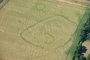 Cropmark: Minster, Kent