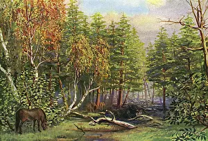 Scape: MIOCENE L'SCAPE