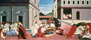 Botticelli: Three Miracles of St Zenobius Artist: Sandro Botticelli