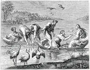 Draught: The Miraculous Draught of Fishes, after Raphael