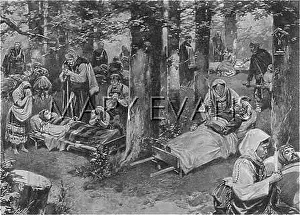 Serbs: MIRACULOUS FOREST