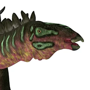 Spiked: Miragaia dinosaur head
