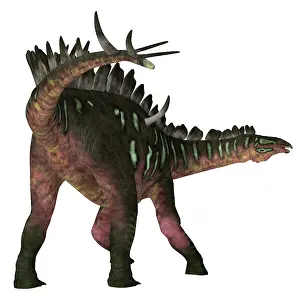 Spiked: Miragaia dinosaur, rear view