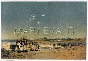 Mirages: MIRAGE OF LAKE IN AFRICA