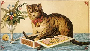 Felines: Mischief