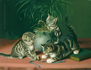 Mischievous: A Mischievous Party ' three kittens playing
