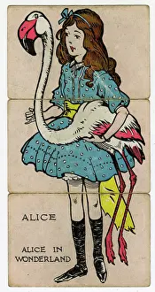 Flamingo: Misfitz - Alice in Wonderland