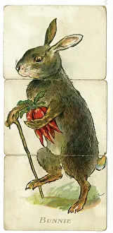 Rabbits: Misfitz - Bunnie