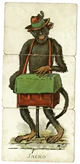 Monkeys: Misfitz - Jacko