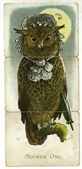 Moonlight: Misfitz - Mother Owl