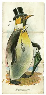 Pince: Misfitz - Penguin