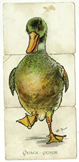 Sections: Misfitz - Quack-Quack